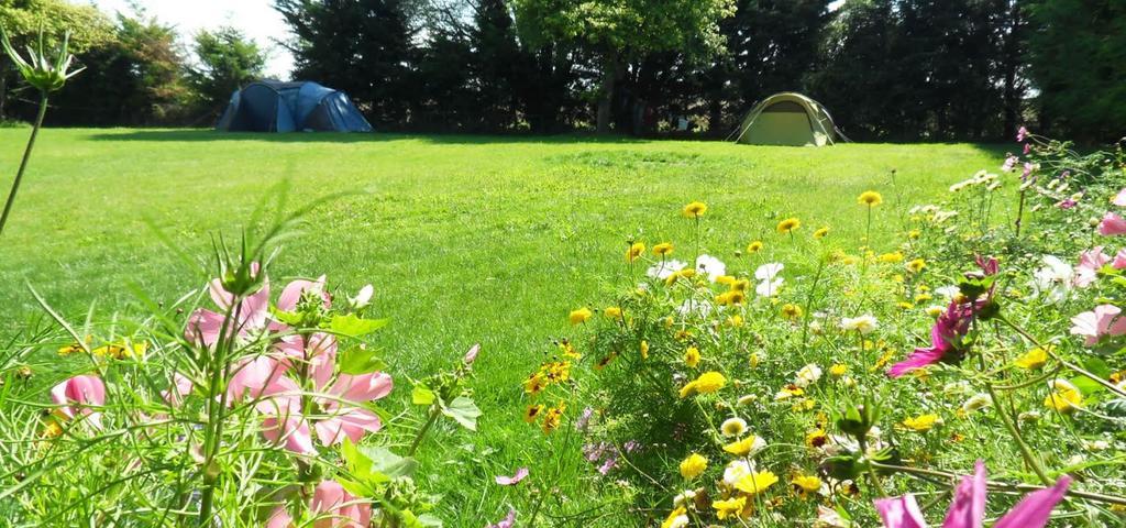 Maison De La Croix Galliot Bed & Breakfast Cherrueix ภายนอก รูปภาพ
